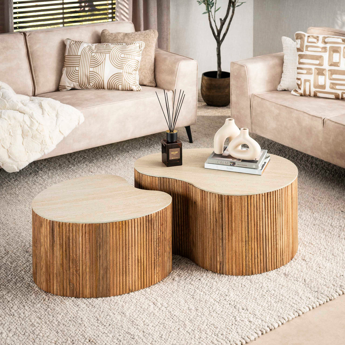 CARINA - Table basse • lot de 2